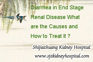 Diarrhea in End Stage Renal Disease What are the Causes and How to Treat It