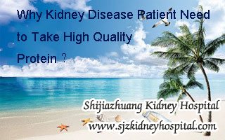 Why Kidney Disease Patient Need to Take High Quality Protein