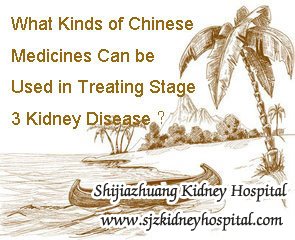 What Kinds of Chinese Medicines Can be Used in Treating Stage 3 Kidney Disease