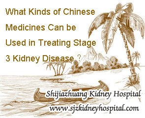 What Kinds of Chinese Medicines Can be Used in Treating Stage 3 Kidney Disease