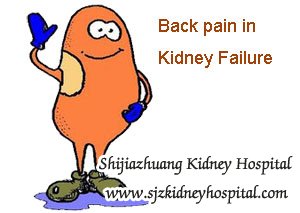What are the Reasons of Back Pain in Kidney Failure and How to Treat It