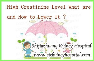 High Creatinine Level What are the Symptoms and How to Lower It