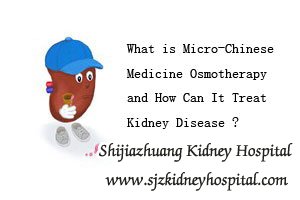 What is Micro-Chinese Medicine Osmotherapy and How Can It Treat Kidney Disease
