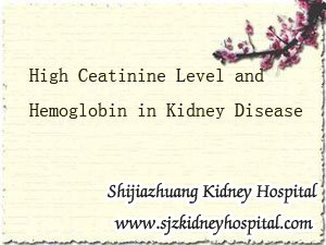 High Ceatinine Level and Hemoglobin in Kidney Disease
