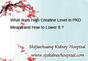 High Creatine Level,PKD, High Creatine Level in PKD