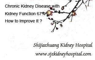 Chronic Kidney Disease with Kidney Function 67% How to Improve It