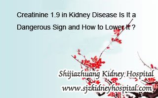 Creatinine 1.9 in Kidney Disease Is It a Dangerous Sign and How to Lower It