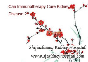 Can Immunotherapy Cure Kidney Disease