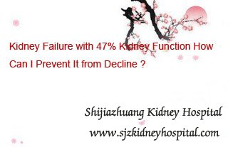 Kidney Failure with 47% Kidney Function How Can I Prevent It from Decline