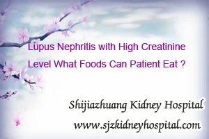 Lupus Nephritis with High Creatinine Level What Foods Can Patient Eat