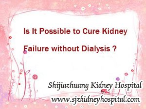 Is It Possible to Cure Kidney Failure without Dialysis