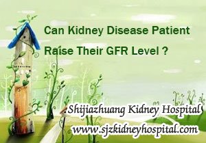 Can Kidney Disease Patient Raise Their GFR Level