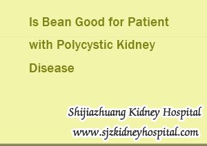 Is Bean Good for Patient with Polycystic Kidney Disease