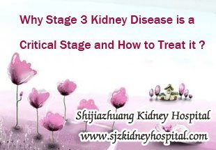 Why Stage 3 Kidney Disease is a Critical Stage and How to Treat it