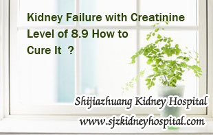 Kidney Failure with Creatinine Level of 8.9 How to Cure It