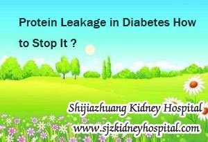 Protein Leakage in Diabetes How to Stop It