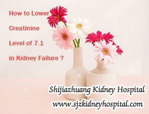 How to Lower Creatinine Level of 7.1 in Kidney Failure