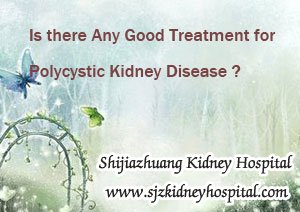 Is there Any Good Treatment for Polycystic Kidney Disease