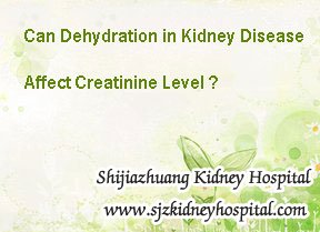 Can Dehydration in Kidney Disease Affect Creatinine Level