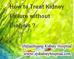 How to Treat Kidney Failure without Dialysis