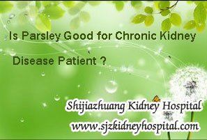 Is parsley good for patient with chronic kidney disease ?