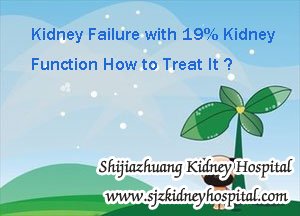 Kidney Failure with 19% Kidney Function How to Treat It