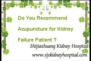 Do You Recommend Acupuncture for Kidney Failure Patient