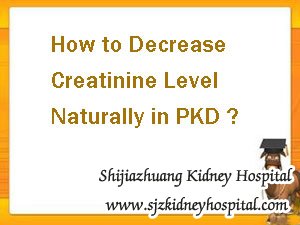 How to Decrease Creatinine Level Naturally in PKD