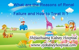 What are the Reasons of Renal Failure and How to Treat It