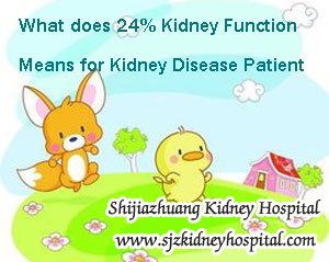 What does 24% Kidney Function Means for Kidney Disease Patient