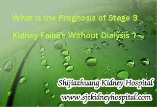 What is the Prognosis of Stage 3 Kidney Failure Without Dialysis