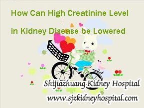 How Can High Creatinine Level in Kidney Disease be Lowered