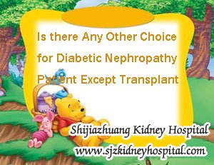 Is there Any Other Choice for Diabetic Nephropathy Patient Except Transplant