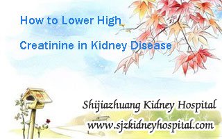 How to Lower High Creatinine in Kidney Disease