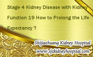 Stage 4 Kidney Disease with Kidney Function 19 How to Prolong the Life Expectancy