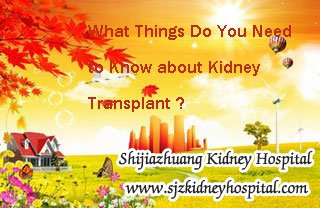 What Things Do You Need to Know about Kidney Transplant