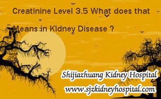 Creatinine Level 3.5 What does that Means in Kidney Disease