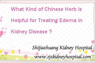 What Kind of Chinese Herb is Helpful for Treating Edema in Kidney Disease