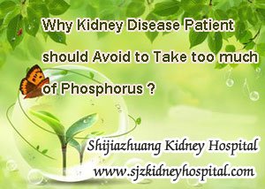 Why Kidney Disease Patient should Avoid to Take too much of Phosphorus