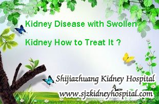 Kidney Disease with Swollen Kidney How to Treat It