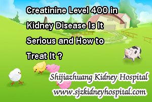 Creatinine Level 400 in Kidney Disease Is It Serious and How to Treat It