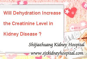 Will Dehydration Increase the Creatinine Level in Kidney Disease