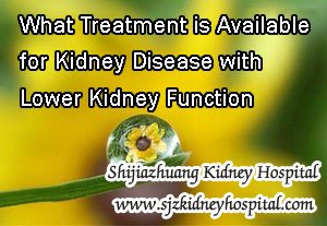 What Treatment is Available for Kidney Disease with Lower Kidney Function