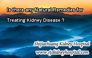 Is there any Natural Remedies for Treating Kidney Disease