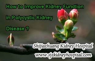 How to Improve Kidney Function in Polycystic Kidney Disease