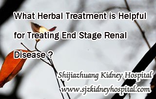 What Herbal Treatment is Helpful for Treating End Stage Renal Disease