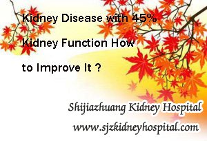Kidney Disease with 45% Kidney Function How to Improve It