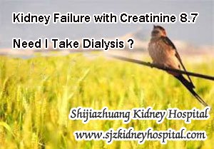 Kidney Failure with Creatinine 8.7 Need I Take Dialysis
