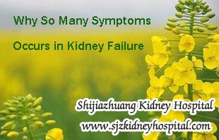 Why So Many Symptoms Occurs in Kidney Failure