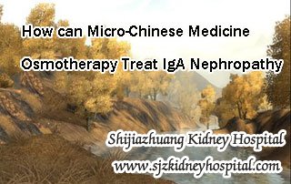 How can Micro-Chinese Medicine Osmotherapy Treat IgA Nephropathy